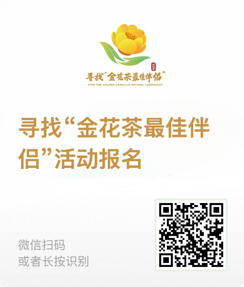 6721031f04386